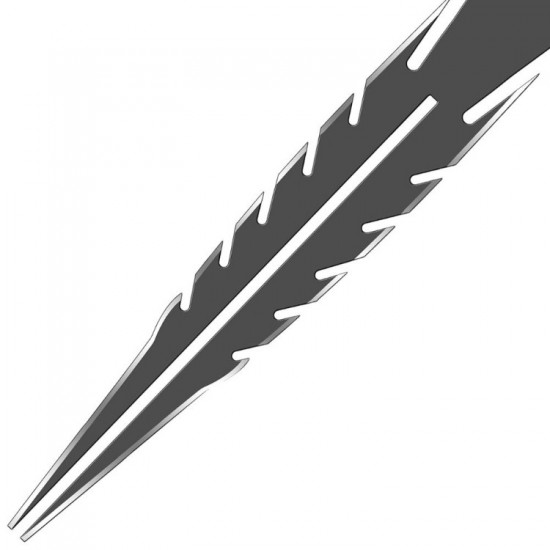 pic2.jpg